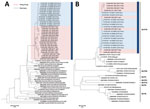 Thumbnail of Neighbor-joining phylogenetic analysis of partial A) VP1 (1,322 nt) and B) RdRp (235 nt) gene sequences of norovirus genogroup II genotype 2 (GII.2) detected by molecular surveillance at a teaching hospital, Hong Kong, China, July 2016–February 2017. The trees were constructed by using Kimura-2-parameter distance method with 1,000 bootstrap replicates. Bootstrap values &gt;70 (percentage) are shown at nodes. Blue bar indicates winter of 2016–2017. Pink shading denotes sequences obta