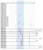 Thumbnail of Comparison of predicted amino acid sequences of foot-and-mouth disease viruses showing changes in major antigenic sites. Predicted amino acid sequences for samples collected during outbreaks of foot-and-mouth disease during 2015–2016 were compared with A/BAN/CH/Sa-304/2016 virus sequence. Blue shading indicates conservative changes within antigenic site 1 (blue shaded area), pink boxes indicate hydrophobic to hydrophilic substitutions, and green boxes indicate hydrophobic to acidic 