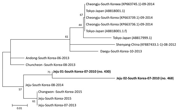 Phylogenetic tree constructed based on partial small segment sequences of severe fever with thrombocytopenia syndrome virus identified in stored serum samples collected in 2010 from 2 patients in South Korea (bold) compared with reference viruses. We constructed the tree using the maximum-likelihood method with MEGA 6 (10). The partial small sequence data for the viruses identified in China, South Korea, and Japan were obtained from GenBank (accession numbers in parentheses). Scale bar indicates