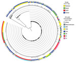 Thumbnail of Phylogenetic analysis demonstrating the diversity of Klebsiella pneumoniae isolates from clinical samples collected during May 2010–February 2012 from The Children’s Hospital &amp; The Institute of Child Health, Lahore, Pakistan, in a global context. The core gene tree based on the alignment derived from Roary (12) was calculated using RAxML (14) and shows the wide diversity of samples analyzed in this study (inner ring, yellow) in context with a large-scale global analysis (inner r