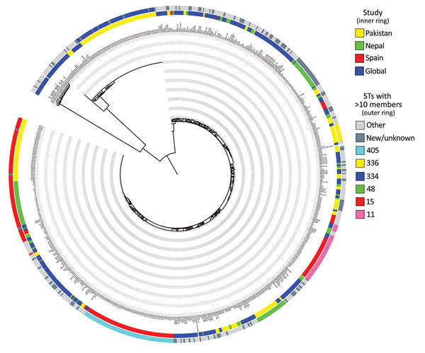 Phylogenetic analysis demonstrating the diversity of Klebsiella pneumoniae isolates from clinical samples collected during May 2010–February 2012 from The Children’s Hospital &amp; The Institute of Child Health, Lahore, Pakistan, in a global context. The core gene tree based on the alignment derived from Roary (12) was calculated using RAxML (14) and shows the wide diversity of samples analyzed in this study (inner ring, yellow) in context with a large-scale global analysis (inner ring, blue [4]