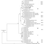 Thumbnail of Maximum-likelihood phylogenetic tree of Elizabethkingia miricola FL160902 from an infected frog in Hunan Province, China, and reference genomes. The tree was constructed by using the single-copy orthologous genes of all the 38 genomes with 100 bootstrap replicates. Species identifications strictly followed the National Center for Biotechnology Information submitted names. Isolates assigned into UB groups and subgroups are according to Holmes et al. (12) and Bruun and Ursing (13).Sol