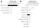 Thumbnail of Bacteria isolated from patients with A) cryptogenic (n = 27) and B) noncryptogenic (n = 131) liver abscesses, Hôpital Beaujon, Clichy, France, 2010−2015. Black bars indicate Klebsiella pneumoniae. Values above bars indicate number of isolates. Differences for each bacterial species between cryptogenic and noncryptogenic abscesses were statistically significant for K. pneumoniae (p = 0.00005), Enterococcus species (p = 0.0001), Staphylococcus species (p = 0.0009), and Enterobacter sp