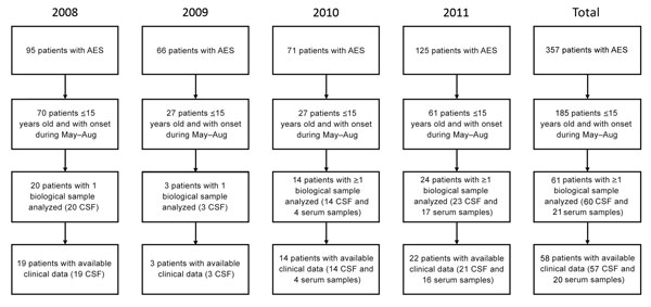 Inclusion of patients in study of hypoglycemic toxins and enteroviruses as causes of acute encephalitis-like syndrome in children, Bac Giang Province, northern Vietnam, 2008–2011. AES, acute encephalitis syndrome; CSF, cerebrospinal fluid.