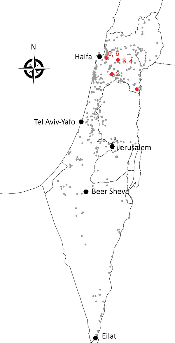 Spatial distribution of collection sites and Usutu virus infectious mosquitoes, Israel 2014–2015. Small gray circles indicate collection sites. Red symbols and numbers indicate sites of Usutu virus–infected mosquitoes.