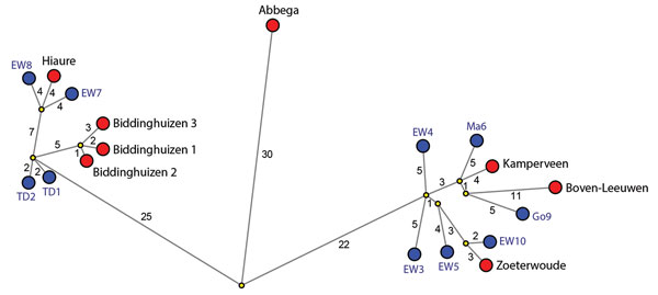 Median-joining network showing the genetic relationship between highly pathogenic avian influenza A viruses subtype H5N8 isolated from commercial poultry farms (red circles) and the most identical wild bird viruses (blue circles) found in the Netherlands, 2016. Predicted median vectors are shown in yellow. The length of the line represents the genetic distance, and the number of nucleotide changes is indicated. Wild bird virus isolates used for this analysis are numbered 1–10 (Technical Appendix