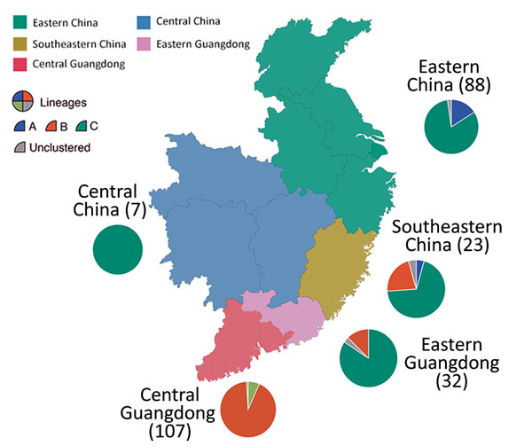 Geographic location and lineage classification of 374 influenza A(H7N9) human viruses, China. Values in parentheses indicate number of sequenced viruses from each region. Pie charts indicate approximate percentages of each virus lineage (A, B, C, or unclustered). Sequences from Xinjiang Province in northern China are not shown.
