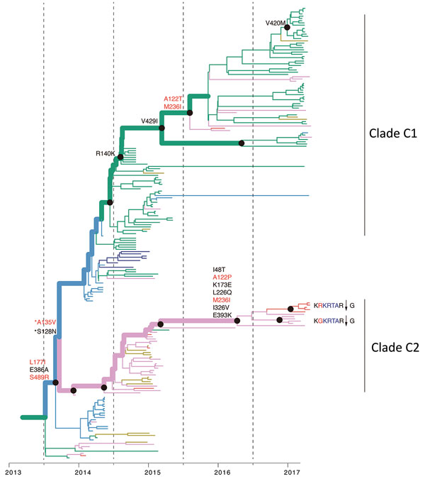 Reconstruction of amino acid changes along trunk of lineage B phylogenies of influenza A(H7N9) viruses, China. Maximum clade credibility tree of hemagglutinin gene sequences from lineage B is shown. Branches are colored according to geographic locations, as in Figure 3. Thicker lines indicate the trunk lineage leading up to the current fifth influenza epidemic wave. Amino acid changes along the trunk are indicated. Red branches indicate sites undergoing parallel amino acid changes across multipl