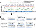 Thumbnail of Design of new real-time RT-PCRs for differentiation between vaccine and wild-type YFV. A) YFV genomic representation (GenBank accession no. DQ100292) with real-time RT-PCR target sites, indicated by arrowheads, and identity plot of all complete YFV sequences available in GenBank as of May 24, 2017. Plots were done in SSE version 1.2 (11) using a sliding window of 200 and a step size of 40 nt. Target sites of the eventually selected assays are indicated by filled arrowheads; all othe