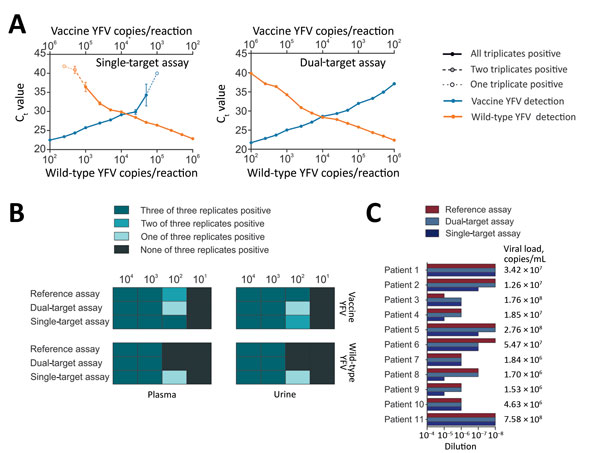Validation of new real-time RT-PCRs for differentiation between vaccine and wild-type YFV. A) Effects of target competition on YFV real-time RT-PCRs. Mean cycle threshold (Ct) values are plotted against IVT concentrations. Triplicates were tested for each datum point. B) Validation of the assays with clinical matrices. Spiked viruses were vaccine strain 17D and the American genotype 2 wild-type strain BOL88/1999. RNA purification was performed using the MagNA Pure 96 Viral NA Small Volume Kit (R