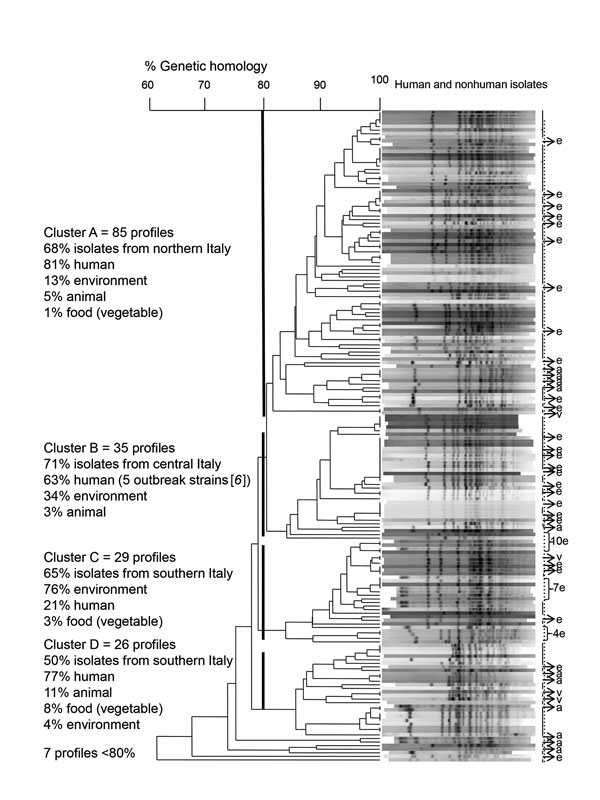 Dendrogram of 182 pulsed-field gel electrophoresis–based profiles of Salmonella enterica serovar Napoli strains isolated from human, environmental, animal, and food samples in Italy, 2011–2015. Four main clusters matched with the 3 main geographic areas in Italy (cluster A in northern Italy, cluster B in central Italy, and clusters C and D in southern Italy). Genetic analysis was based on 80% homology. Human strains (n = 122) are indicated by a solid vertical line. e indicates environmental stra