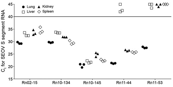 Measurement of SEOV RNA loads in different tissues of Rattus norvegicus rats, South Korea, 2000–2016. Ct values were determined for SEOV small segment RNA in lung, liver, kidney, and spleen tissues obtained from 5 rats positive for SEOV IgG and SEOV RNA. Solid horizontal line indicates assay cutoff value. Ct, cycle threshold; S, small; SEOV, Seoul virus.