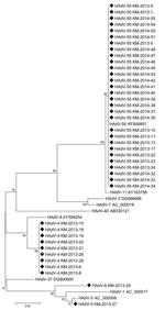 Thumbnail of Phylogenetic tree human adenoviruses detected among soldiers with acute febrile respiratory illness from human adenovirus (HAdV) infection, South Korea, January 2013–April 2014. Tree was constructed by the neighbor-joining method on the basis of a 232-bp nucleotide sequence of the hexon gene. We used MEGA 6 software (20) to generate the phylogenetic tree and evaluated topologies by using bootstrap analysis of 1,000 iterations. GenBank accession numbers of sequences of HAdV from the 