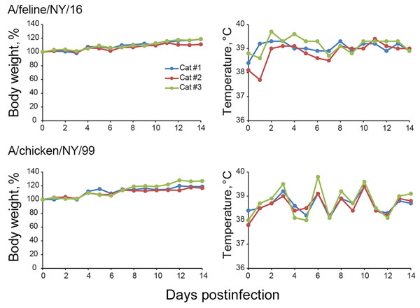Body weight and temperature changes in cats infected with A/feline/NY/16 and A/chicken/NY/99 viruses. Three cats per group were infected intranasally with 106 PFU of viruses and monitored for bodyweight and temperature changes. 