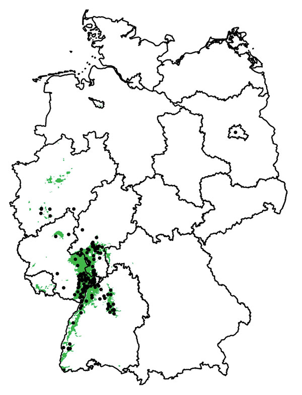Areas suitable (green) and unsuitable (white) for Usutu virus (USUV) in Germany derived from 300 boosted regression tree models. Black dots denote sites with dead birds detected positive for USUV.
