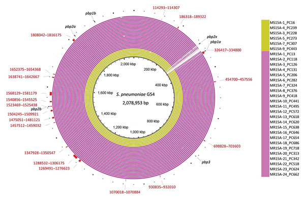 Genomic similarities to Streptococcus pneumoniae G54 (reference sequence GenBank accession no. NC_011072.11) and Japan meropenem-nonsusceptible serotype 15A-ST63 isolate-specific recombination sites that were obtained in Genealogies Unbiased By recomBinations In Nucleotide Sequences (28) by using all clade I and clade I-MNS isolates. Colored segments indicate &gt;95% similarity; gray segments indicate &gt;90% similarity by BLAST (27) comparison between each isolate genome and S. pneumoniae G54. 