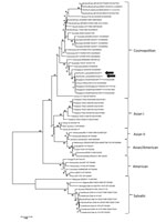 Thumbnail of Phylogenetic analysis of dengue virus type 2 strains obtained from 2 patients who returned to Japan from Sri Lanka in June 2017 (arrows) and a comparison with reference sequences from GenBank. Virus lineages are shown at right. Phylogenetic tree was constructed by using the neighbor-joining method. The maximum composite likelihood method was used, and the rates among sites were uniform. These analyses were performed using MEGA7 (http://www.megasoftware.net). Scale bar indicates nucl