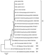 Thumbnail of Phylogenetic tree constructed by using partial nonstructural protein 5 (NS5) sequences of JEV isolates detected in index patient and donor blood samples, Hong Kong, China, and other JEV reference strains available in GenBank (accession numbers shown). The tree was inferred from data by using the maximum-likelihood method with bootstrap values calculated from 1,000 trees. Only bootstrap values &gt;70% are shown. A 167-nt fragment of NS5 from each virus was used in this analysis. Labe