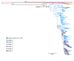 Thumbnail of Maximum-likelihood tree of viral capsid protein 1 sequences of coxsackievirus A6 strains from Vietnam and worldwide. Branches are colored by cluster; cluster A, which includes the Vietnam strains, is indicated. Scale bar indicates nucleotide substitutions per site.