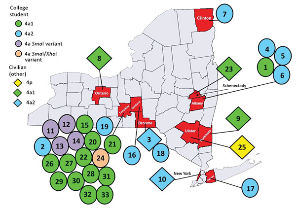 Geographic distribution of cases of human adenovirus type 4 (HAdV-4) infection identified by the New York State Department of Health through sentinel surveillance efforts targeting influenza-like illness (ILI), by HAdV-4 type, by type of civilian, by county, New York, USA, 2011–2015. Respiratory specimens were collected from patients with ILI at physician’s offices, long-term care facilities, hospitals, and colleges and submitted to the Clinical Virology Laboratory at Wadsworth Center (Albany, N