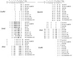 Thumbnail of In silico restriction enzyme analysis of human adenovirus type 4 genomes representing the spectrum of genetic variability of the 36 isolates characterized in study of acute respiratory infection detected by New York State Department of Health surveillance, New York, USA, 2011–2015. We generated restriction enzyme profiles for the completely sequenced genomes obtained in this study and from reference sequences available in GenBank using Geneious Pro (31). 4p4 MIL is isolate NHR90339,