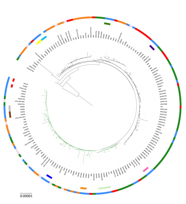 Maximum-likelihood phylogenetic tree for Bordetella pertussis based on the concatenated alignments of the 2,038 cgMLST loci sequences of isolates from France (this study) and isolates from outbreaks in the United States and the United Kingdom. The tree was rooted on the Tohama reference isolate (GenBank accession no. NC_002929). Black tree branches indicate fim3-1 clade and green tree branches indicate fim3-2 clade. Intrafamilial groups of isolates and multiple groups of isolates recovered from 
