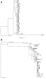 Thumbnail of Phylogenetic trees for influenza A(H3N2) outbreak pairs from patients in long-term care facilities, Toronto, Ontario, Canada, 2014–15. A) Majority genome; B) hemagglutinin gene. Surveillance samples were included in the HA gene analysis. Scale bar indicates substitutions per site. HA, hemagglutinin.