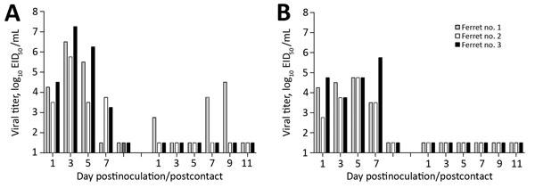 Transmission of avian influenza A(H7N9) influenza virus ck/TN by direct contact, Tennessee, USA, 2017. Three ferrets were inoculated with 106 EID50 of A) low pathogenicity avian influenza virus or B) highly pathogenic avian influenza virus, and nasal washes were collected from each ferret on the indicated days pi (left bars) to assess viral replication. An immunologically naive ferret (gray bars) was placed in the same cage as each inoculated ferret at 24 h pi, and nasal washes were collected fr