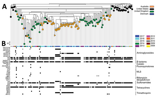 Maximum-likelihood phylogeny of whole-genome single-nucleotide polymorphisms (SNPs) of 153 Salmonella enterica 4,[5],12:i:- sequence type (ST) 34 isolates and acquired drug-resistance genes. A) SNP analysis was conducted by performing whole-genome alignment of ST34 isolates from New South Wales (NSW), Australia, and a selection of published ST34 isolates collected in the United Kingdom, United States, and Denmark by using Snippy Core (https://github.com/tseemann/snippy) (Technical Appendix). Reg