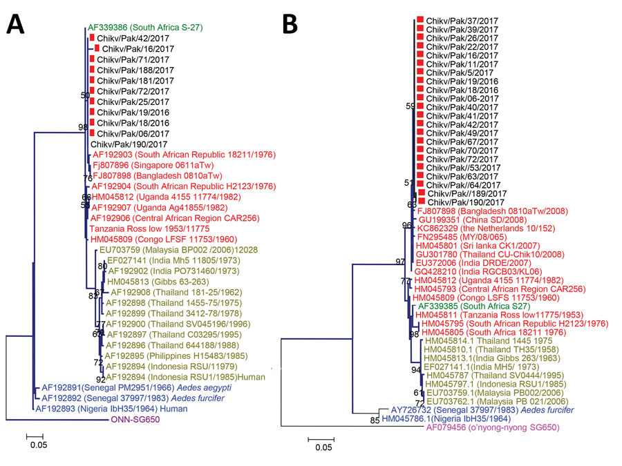 Phylogenetic tree of chikungunya viruses collected from patients in Pakistan, December 20, 2016–May 31, 2017 (red squares), and reference viruses. The tree was generated by the maximum-likelihood method based on the nucleotide sequence of the partial envelope 1 (A) and nonstructural protein 1 (B) genes. Red text indicates East/Central/South African genotype; yellow text indicates Asian genotype; green text indicates South African genotype; blue text indicates West African genotype; and purple te
