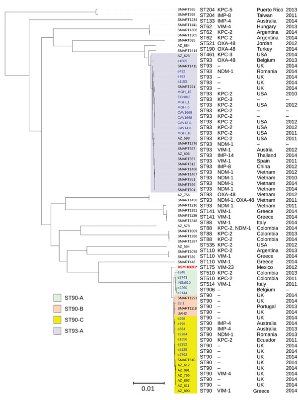 Phylogenetic tree of the different clades among 51 Enterobacter hormaechei subsp. steigerwaltii ST90 and ST93 isolates identified from Enterobacter spp. isolates collected in the Merck Study for Monitoring Antimicrobial Resistance Trends, 2008–2014, and the AstraZeneca global surveillance program, 2012–2014. The tree is rooted with E. hormaechei subsp. hormaechei isolate ATCC49162. A total  of 317,867 core single-nucleotide polymorphisms were found; 27,705 were used to draw the tree (after phage