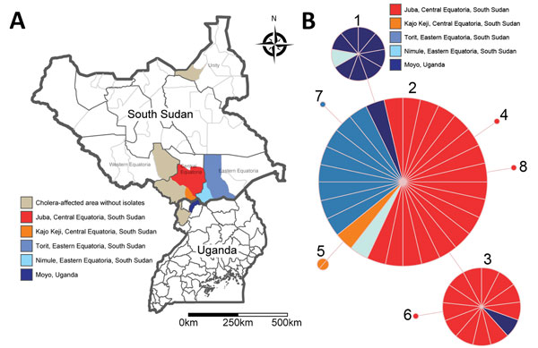 Locations and molecular analysis of 2014 epidemic in Uganda and South Sudan. A) Affected areas in both countries. Light brown indicates districts where we did not obtain any isolate for molecular analysis; red, orange, and blue areas represent affected districts with cholera isolates included in the analysis. B) Multilocus variable-number tandem-repeat (MLVA) analysis. Minimum spanning tree using pairwise difference was generated using Bionumerics version 6.6 (Applied Maths, Inc., Austin, TX, US