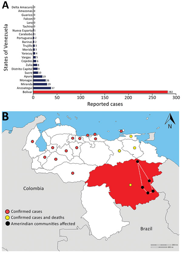 Suspected and confirmed diphtheria cases and deaths, by state, Venezuela, 2016–2017. The highest number of cases occurred in the state where Amerindians reside (Bolivar, red). A) Number of suspected cases of diphtheria reported from week 28 of 2016 through week 24 of 2017, by state. B) Location of confirmed cases and deaths, Venezuela, 2017. The affected Amerindian communities reside in the area within the dotted line. Map obtained from d-maps (http://d-maps.com/carte.php?num_car=4080&amp;lang=e