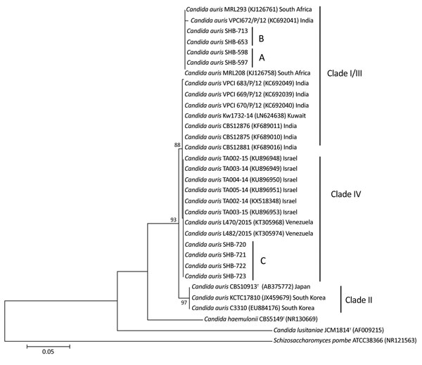 Phylogenetic analysis of Candida auris strains from 2 patients in Israel. Tree was generated using the neighbor-joining method. Internal transcribed spacer sequences of C. auris strains were aligned with the C. auris type strain CBS5149T, strains previously isolated in Tel Aviv (TA002-TA005), and additional clinical strains available from GenBank. A indicates isolates from patient A, who was transferred from South Africa to Sheba Medical Center in Israel in late 2016. B indicates isolates from p