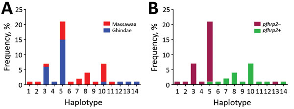 Number and frequency of Plasmodium falciparum haplotypes detected in patients at 2 hospitals, Eritrea, by hospital (A) and by pfhrp2-positive versus pfhrp2-negative parasite populations (B). pfhrp, P. falciparum histidine-rich protein; – negative; +, positive.