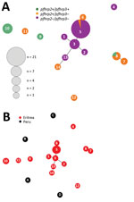 Thumbnail of Genetic relatedness among Plasmodium falciparum parasite populations in Eritrea differing in pfhrp2 and pfhrp3 status (A) and comparison of parasite populations from Eritrea and Peru (B). Plots were produced by using Phyloviz software (24) at a cutoff value of 2 (minimum differences for 2 loci). Numbered circles indicate specific haplotypes. Circle sizes indicate number of samples with a particular haplotype. pfhrp, P. falciparum histidine-rich protein; – negative; +, positive.
