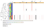 Thumbnail of Phylogenetic tree of Haemophilus ducreyi genome sequences inferred from mapping using the H. ducreyi 35000HP strain as reference and after removing high-density single-nucleotide polymorphisms regions with Gubbins (3). Included are published genomes (black text), Ghanaian strains (gray text, GHA designations), and Solomon Islands strains (gray text, CP/WP designations). Sequences from cutaneous ulcers in Ghana and the Solomon Islands were found within both previously described clade