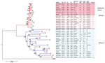 Thumbnail of Core genome phylogenetic tree showing relationships between Neisseria meningitidis serogroups C and B CC4821 strains, China, 1972–2011. The strains cluster within 1 of 2 distinct phylogenetic groups, group 1 and group 2. Within group 1 is an antigenically distinct clonal group (epidemic clone) containing outbreak-associated strains. Tree is rooted using serogroup A reference strain (Z2491) as an outgroup. Maximum-likelihood phylogenetic trees of aligned core genome sequences were ge