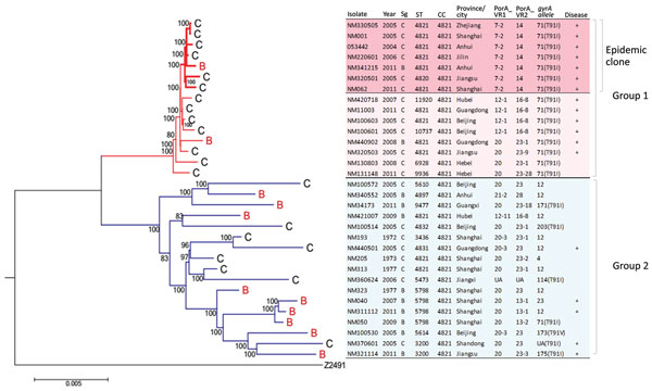 Core genome phylogenetic tree showing relationships between Neisseria meningitidis serogroups C and B CC4821 strains, China, 1972–2011. The strains cluster within 1 of 2 distinct phylogenetic groups, group 1 and group 2. Within group 1 is an antigenically distinct clonal group (epidemic clone) containing outbreak-associated strains. Tree is rooted using serogroup A reference strain (Z2491) as an outgroup. Maximum-likelihood phylogenetic trees of aligned core genome sequences were generated under