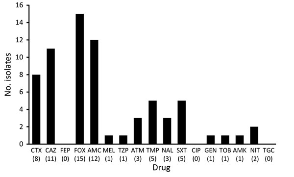 Antimicrobial drug resistance for AmpC-producing Enterobacteriaceae isolates from 15 healthy preschool children, Sweden. Values in parentheses along the x-axis are percentages. AMC, amoxicillin/clavulanic acid; AMK, amikacin; ATM, aztreonam; CAZ, ceftazidime; CIP, ciprofloxacin, CTX, cefotaxime; FEP, cefepime; FOX, cefoxitin; GEN, gentamicin, MEL, mecillinam; NAL, nalidixic acid; NIT, nitrofurantoin; SXT, sulfamethoxazole/trimethoprim; TGC, tigecycline; TOB, tobramycin; TZP, piperacillin/tazobac