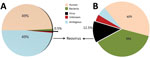 Thumbnail of Sample identification by use of next-generation sequencing. RNA reads from blood (A) and lung (B) samples from horse that died of equine encephalosis in India, 2008. Samples were categorized by using Taxonomer software (11); 0.5% of the reads from blood samples (total reads 2,610,292, average length 137 bp) and 12.5% of the reads from lung samples (total reads 2,125,678, average length 135 bp) were matched to those of reoviruses.