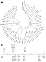 Thumbnail of Phylogenetic analysis of yellow fever viruses and clinical courses for persons with yellow fever cases imported from Angola to China. A) Phylogenetic relationships among the yellow fever viruses from samples obtained from 9 case-patients (black circles). An unrooted dendrogram with maximum-likelihood by genome sequences represents the phylogenetic relationships. Clusters with bootstrap support values &lt;70 were integrated; bootstrap values are shown on the branches. B) Dates of hos