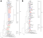 Thumbnail of Multilocus sequence typing (MLST)–based phylogenetic trees of strains and STs of Bacillus cereus isolates, Japan. Reference sequences were obtained from the MLST database (https://pubmlst.org). Definitions of clades and lineage names followed those of Priest et al. (9). A) Phylogenetic tree of isolates from patients with bacteremia. Blue indicates Tokyo strains, red indicates Tochigi stains, orange indicates Tottori strains, and green indicates Kochi strains. B) Phylogenetic tree of