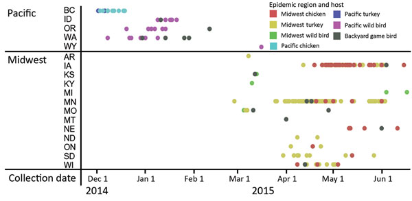 Time series of reassortant highly pathogenic avian influenza virus A(H5N2) distribution, by US state and Canada province, December 2014–June 2015. Virus region and host are indicated. BC, British Columbia, Canada; ON, Ontario, Canada.