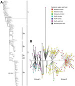 Thumbnail of Genetic characterization of reassortant highly pathogenic avian influenza virus A(H5N2) clade 2.3.4.4, North America, 2014–2015. A) Maximum-likelihood phylogeny of concatenated complete genome sequences. Labels indicate genetic subgroups. Scale bar indicates nucleotide substitutions per site. The full version of the phylogenic tree is available in Technical Appendix Figure. B) Median-joining phylogenetic network constructed by using concatenated complete genome sequences. This netwo