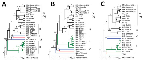 Phylogeny of the Lassa virus strain from Togo, 2016. Phylogenetic trees were inferred using BEAST2 (https://www.beast2.org/) for full-length glycoprotein precursor (A), nucleoprotein (B), and polymerase (C) genes. The analysis included representative Lassa virus strains and other Old World arenaviruses (Technical Appendix). Posterior support values are shown at the branches. Lassa virus lineages are indicated by roman numbers on the right. The branch for Mopeia and Mobala virus is shown schemati