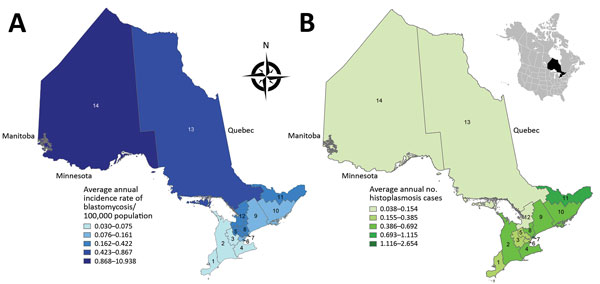 Geographic distribution of A) annualized incidence (no. cases/100,000 population) of blastomycosis (1995–2015) and B) no. cases of histoplasmosis (1990–2015) by Ontario Local Health Integration Network (LHIN), Ontario, Canada. 1, Erie St. Clair; 2, South West; 3, Waterloo Wellington; 4, Hamilton Niagara Haldimond Brant; 5, Central West; 6, Mississauga Halton; 7, Toronto Central; 8, Central; 9, Central East; 10, South East; 11, Champlain; 12, North Simcoe Muskoka; 13, North East; 14, North West. 