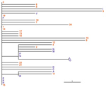 Thumbnail of Phylogeny of outbreak isolates of Burkholderia stabilis strain CH16 from Switzerland based on high-quality single nucleotide polymorphisms (SNPs). This phylogeny of all sequenced outbreak isolates might represent a conservative estimate of SNP numbers. Given the large genome size and possible mismapping to repeats, it is difficult to determine the ultimate number of SNPs between samples. This phylogeny was confirmed using several parameters and manual checking of called SNPs. The ro