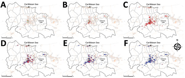 Spatial and temporal spread of chikungunya epidemic, Carabobo state, Venezuela, June–December 2014. Time is presented at epidemiologic week intervals as follows: A) weeks 22–27; B) weeks 28–31; C) weeks 32–35; D) weeks 36–39; E) weeks 40–45; F) weeks 46–49. Red circles indicate the appearance of new cases for the given interval; blue indicates the cumulative cases in prior intervals. Light yellow lines depict the road system of the area of study; light gray areas represent the populated areas (u