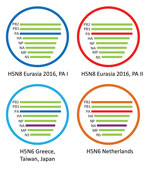 Thumbnail of Schematic representation of the HPAI H5N6 reassortant virus detected in the Netherlands. Two variants of HPAI H5N8 were detected in 2016; they have different PA gene segments, called PA I and PA II. The novel virus evolved from H5N8 viruses having a PA II gene segment, but obtained both novel NA and PB2 gene segments. The H5N6 viruses detected in Greece, Japan, and Taiwan have evolved from H5N8 viruses that have a PA I gene segment and have a N6 segment similar to the virus detected